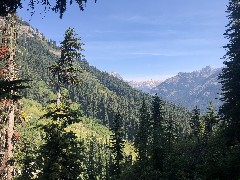 Maple Heather Trail; Cascades, WA